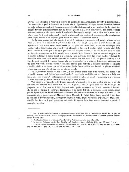 Palaeontographia Italica raccolta di monografie paleontologiche fondata da Mario Canavari nell'anno 1895