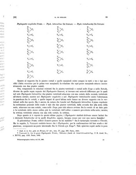 Palaeontographia Italica raccolta di monografie paleontologiche fondata da Mario Canavari nell'anno 1895