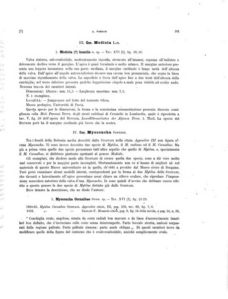 Palaeontographia Italica raccolta di monografie paleontologiche fondata da Mario Canavari nell'anno 1895