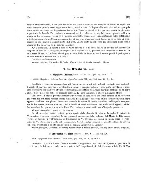 Palaeontographia Italica raccolta di monografie paleontologiche fondata da Mario Canavari nell'anno 1895