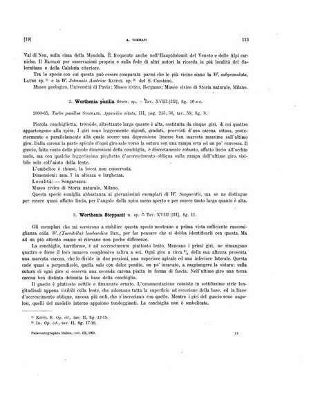 Palaeontographia Italica raccolta di monografie paleontologiche fondata da Mario Canavari nell'anno 1895