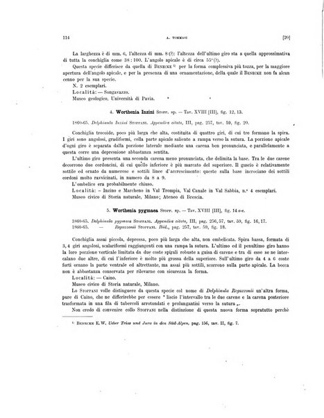 Palaeontographia Italica raccolta di monografie paleontologiche fondata da Mario Canavari nell'anno 1895