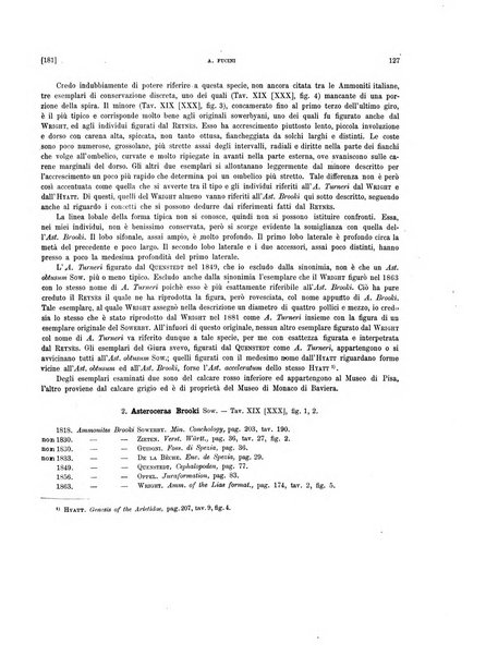 Palaeontographia Italica raccolta di monografie paleontologiche fondata da Mario Canavari nell'anno 1895