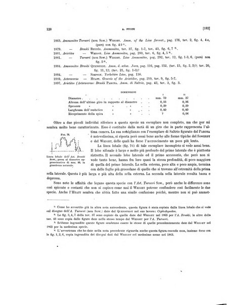 Palaeontographia Italica raccolta di monografie paleontologiche fondata da Mario Canavari nell'anno 1895