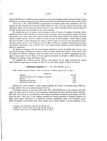 Palaeontographia Italica raccolta di monografie paleontologiche fondata da Mario Canavari nell'anno 1895