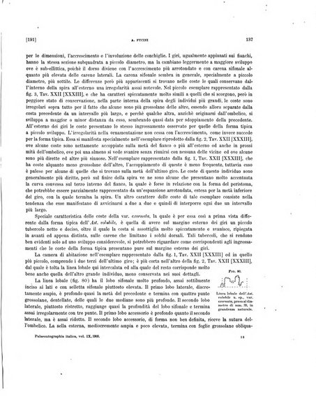 Palaeontographia Italica raccolta di monografie paleontologiche fondata da Mario Canavari nell'anno 1895