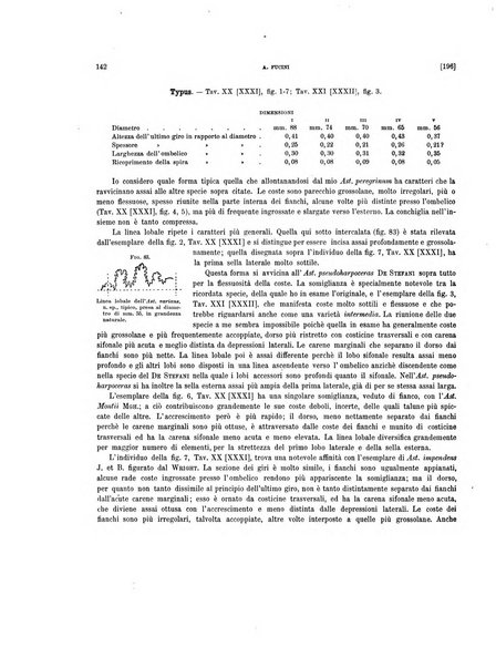 Palaeontographia Italica raccolta di monografie paleontologiche fondata da Mario Canavari nell'anno 1895