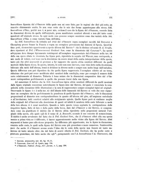 Palaeontographia Italica raccolta di monografie paleontologiche fondata da Mario Canavari nell'anno 1895