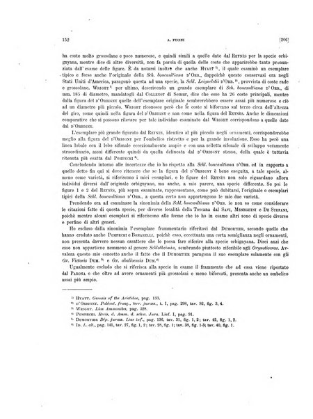 Palaeontographia Italica raccolta di monografie paleontologiche fondata da Mario Canavari nell'anno 1895