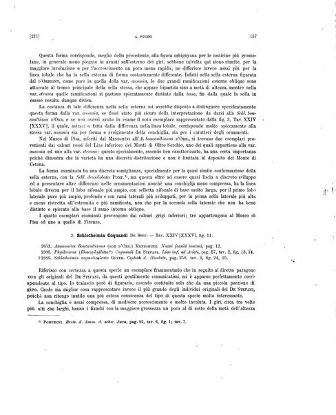 Palaeontographia Italica raccolta di monografie paleontologiche fondata da Mario Canavari nell'anno 1895