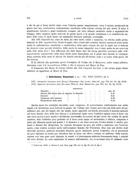 Palaeontographia Italica raccolta di monografie paleontologiche fondata da Mario Canavari nell'anno 1895