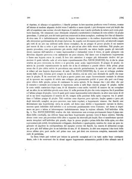 Palaeontographia Italica raccolta di monografie paleontologiche fondata da Mario Canavari nell'anno 1895