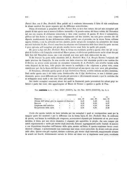 Palaeontographia Italica raccolta di monografie paleontologiche fondata da Mario Canavari nell'anno 1895