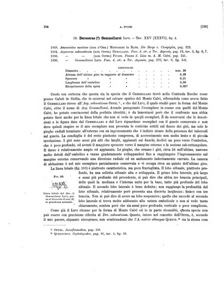 Palaeontographia Italica raccolta di monografie paleontologiche fondata da Mario Canavari nell'anno 1895