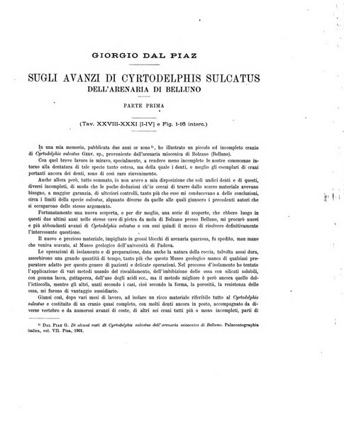 Palaeontographia Italica raccolta di monografie paleontologiche fondata da Mario Canavari nell'anno 1895