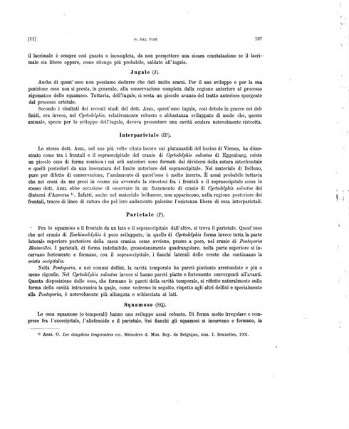 Palaeontographia Italica raccolta di monografie paleontologiche fondata da Mario Canavari nell'anno 1895