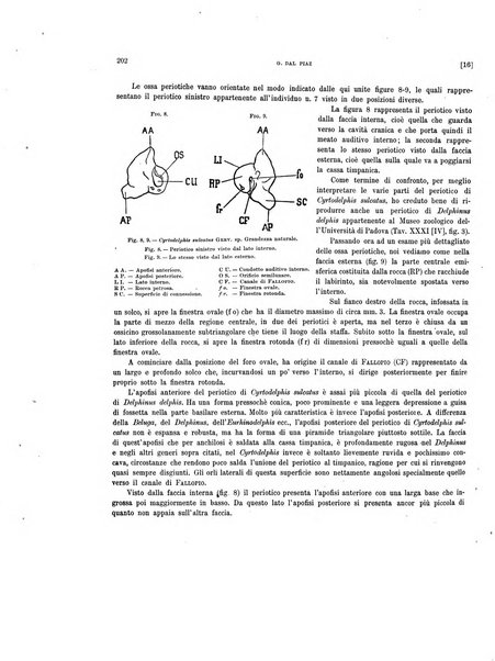 Palaeontographia Italica raccolta di monografie paleontologiche fondata da Mario Canavari nell'anno 1895