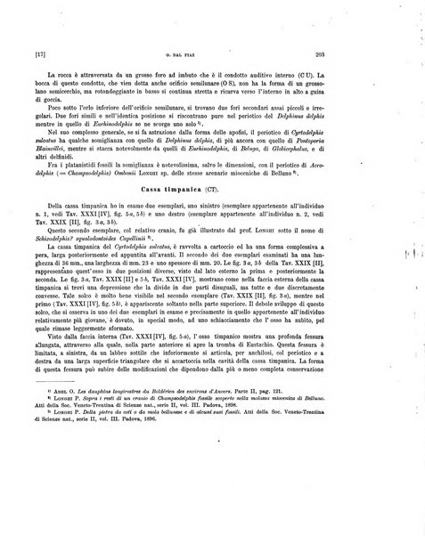 Palaeontographia Italica raccolta di monografie paleontologiche fondata da Mario Canavari nell'anno 1895