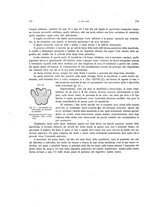 giornale/VEA0025754/1903/unico/00000220