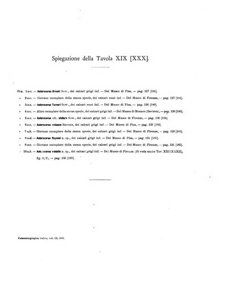 Palaeontographia Italica raccolta di monografie paleontologiche fondata da Mario Canavari nell'anno 1895