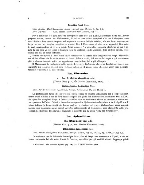 Palaeontographia Italica raccolta di monografie paleontologiche fondata da Mario Canavari nell'anno 1895