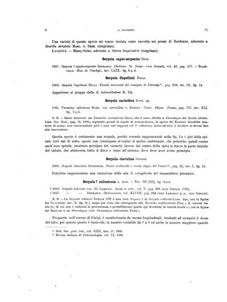 Palaeontographia Italica raccolta di monografie paleontologiche fondata da Mario Canavari nell'anno 1895