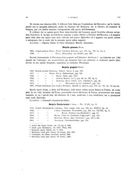 Palaeontographia Italica raccolta di monografie paleontologiche fondata da Mario Canavari nell'anno 1895