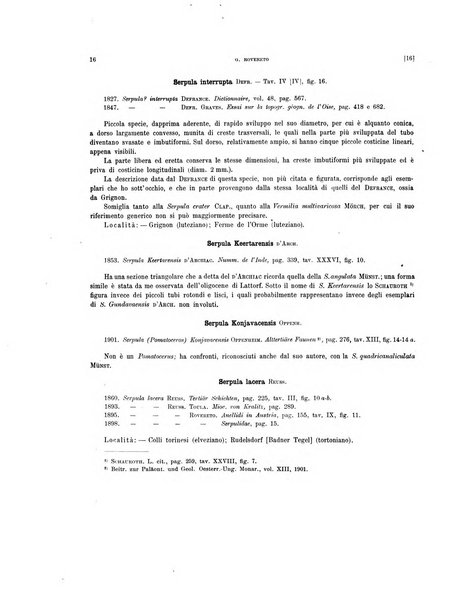 Palaeontographia Italica raccolta di monografie paleontologiche fondata da Mario Canavari nell'anno 1895