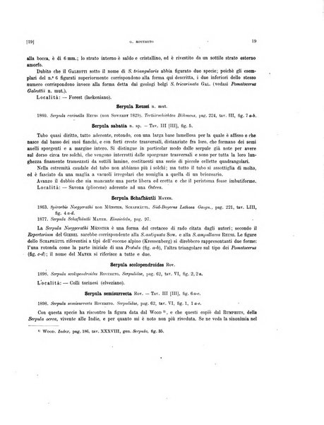 Palaeontographia Italica raccolta di monografie paleontologiche fondata da Mario Canavari nell'anno 1895