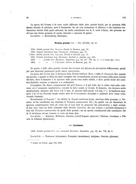 Palaeontographia Italica raccolta di monografie paleontologiche fondata da Mario Canavari nell'anno 1895