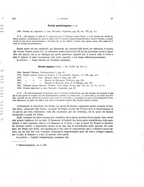 Palaeontographia Italica raccolta di monografie paleontologiche fondata da Mario Canavari nell'anno 1895