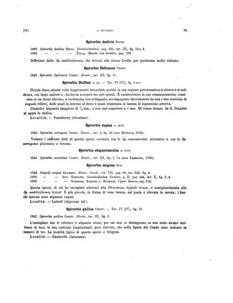 Palaeontographia Italica raccolta di monografie paleontologiche fondata da Mario Canavari nell'anno 1895