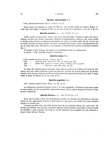 Palaeontographia Italica raccolta di monografie paleontologiche fondata da Mario Canavari nell'anno 1895