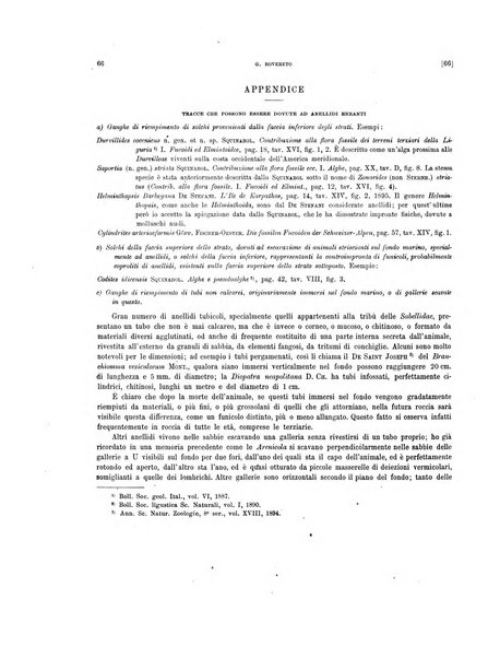 Palaeontographia Italica raccolta di monografie paleontologiche fondata da Mario Canavari nell'anno 1895