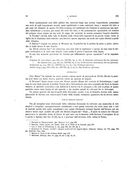 Palaeontographia Italica raccolta di monografie paleontologiche fondata da Mario Canavari nell'anno 1895