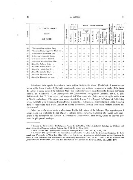 Palaeontographia Italica raccolta di monografie paleontologiche fondata da Mario Canavari nell'anno 1895