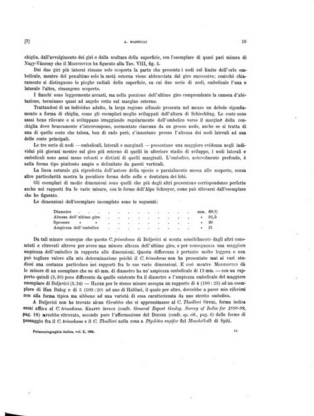 Palaeontographia Italica raccolta di monografie paleontologiche fondata da Mario Canavari nell'anno 1895