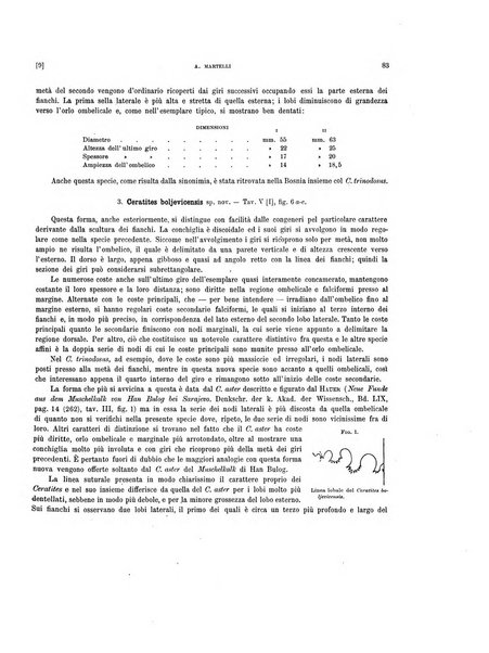 Palaeontographia Italica raccolta di monografie paleontologiche fondata da Mario Canavari nell'anno 1895