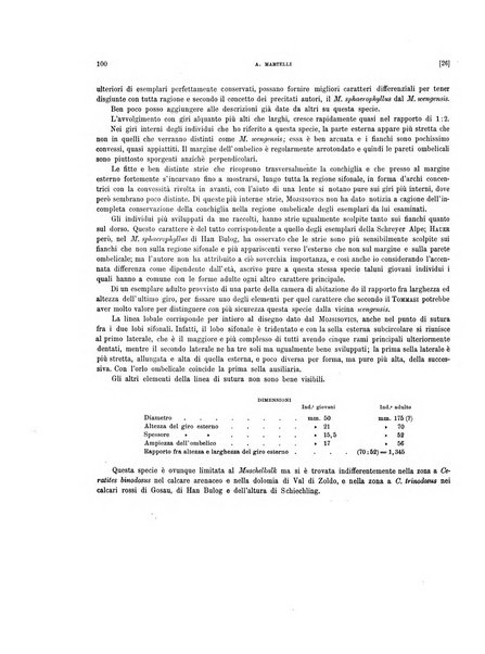 Palaeontographia Italica raccolta di monografie paleontologiche fondata da Mario Canavari nell'anno 1895