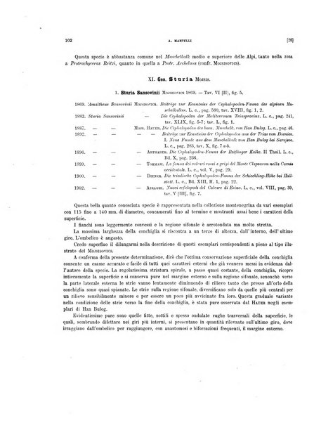 Palaeontographia Italica raccolta di monografie paleontologiche fondata da Mario Canavari nell'anno 1895