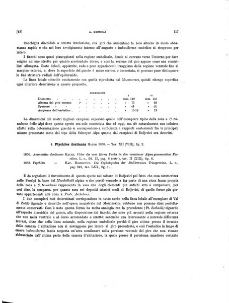 Palaeontographia Italica raccolta di monografie paleontologiche fondata da Mario Canavari nell'anno 1895