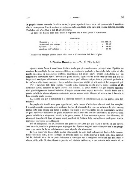 Palaeontographia Italica raccolta di monografie paleontologiche fondata da Mario Canavari nell'anno 1895