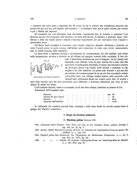 Palaeontographia Italica raccolta di monografie paleontologiche fondata da Mario Canavari nell'anno 1895