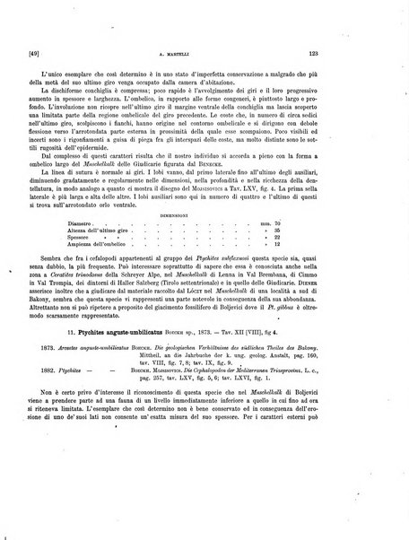 Palaeontographia Italica raccolta di monografie paleontologiche fondata da Mario Canavari nell'anno 1895