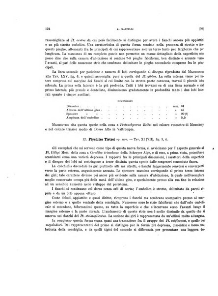 Palaeontographia Italica raccolta di monografie paleontologiche fondata da Mario Canavari nell'anno 1895