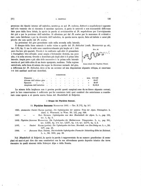 Palaeontographia Italica raccolta di monografie paleontologiche fondata da Mario Canavari nell'anno 1895