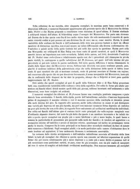 Palaeontographia Italica raccolta di monografie paleontologiche fondata da Mario Canavari nell'anno 1895