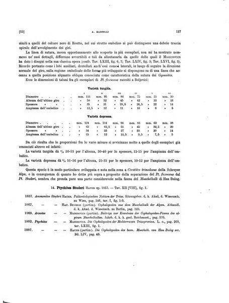 Palaeontographia Italica raccolta di monografie paleontologiche fondata da Mario Canavari nell'anno 1895