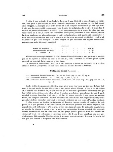 Palaeontographia Italica raccolta di monografie paleontologiche fondata da Mario Canavari nell'anno 1895