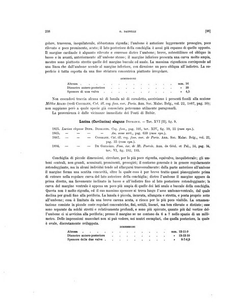 Palaeontographia Italica raccolta di monografie paleontologiche fondata da Mario Canavari nell'anno 1895